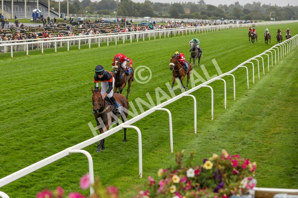 080924-Pony Race-4303 - Pony Race 1.00pm The Dragon (TV and Film) Studios Pony Race 148cm & Under