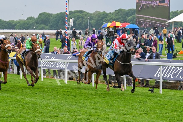 150524-Race 2-Aleezdancer-3836 - Race 2 2.45pm Churchill Tyres Handicap