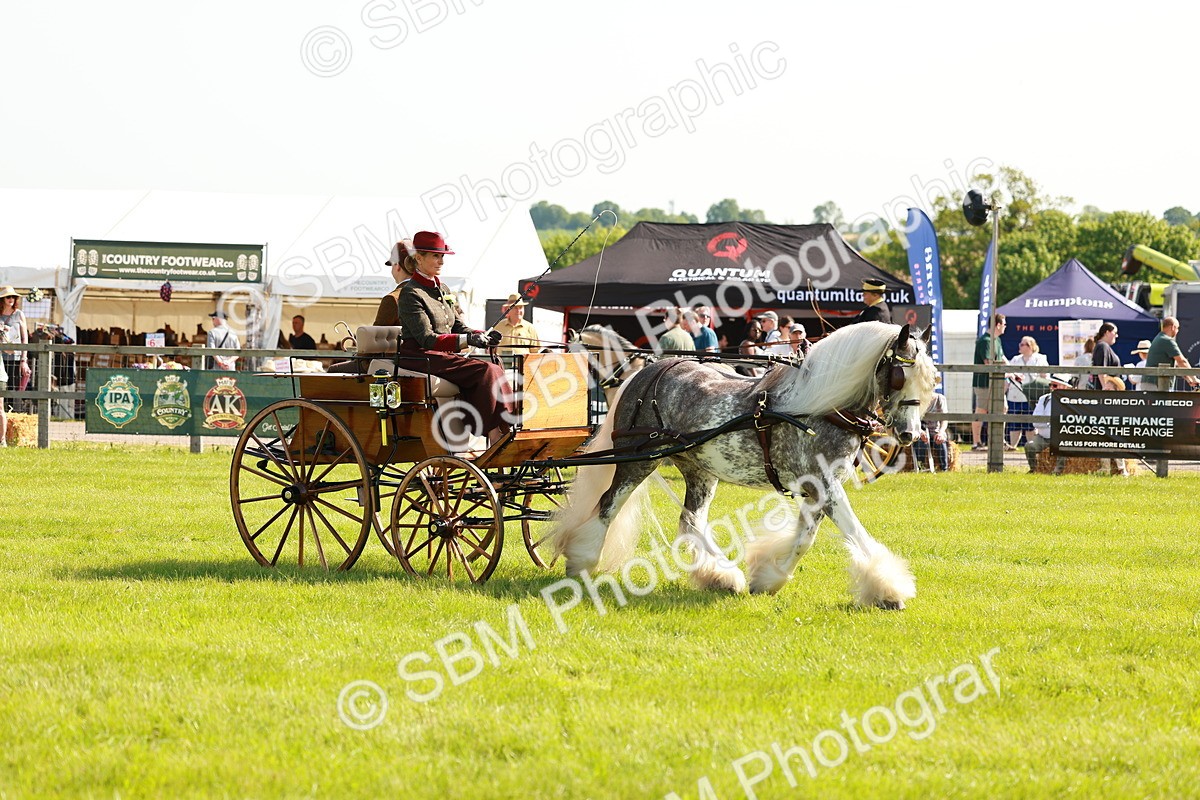 SBM_02596 - Class 2-4 - HOYS Private Driving