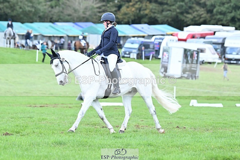 231020-134419-10750 - 659-MACS.BOY-Daisy.Fulton-DR