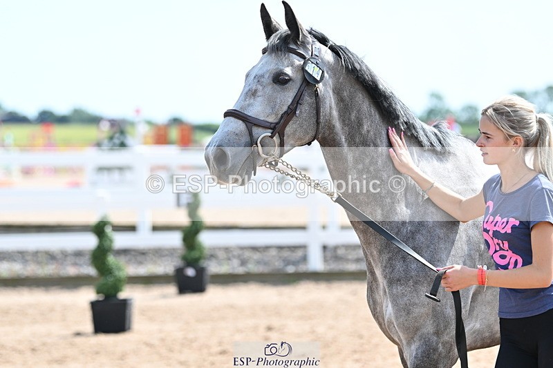 240717A-150559-02535 - Trot Up 3pm to 4pm