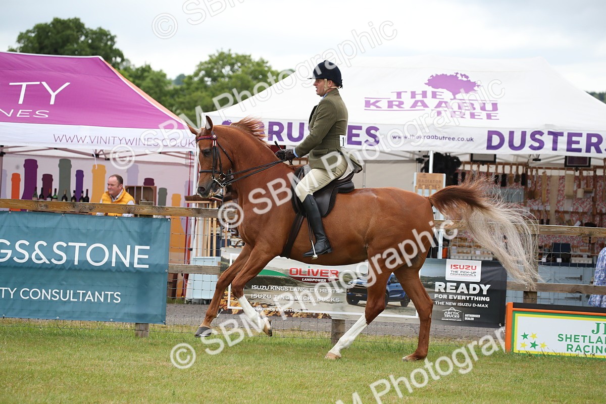 SBM_03635 - Class 21 - 22 - Ridden Arab and Part Bred/Anglo Arab