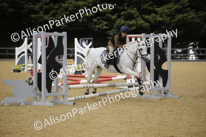 20250622-3689 - 50cm