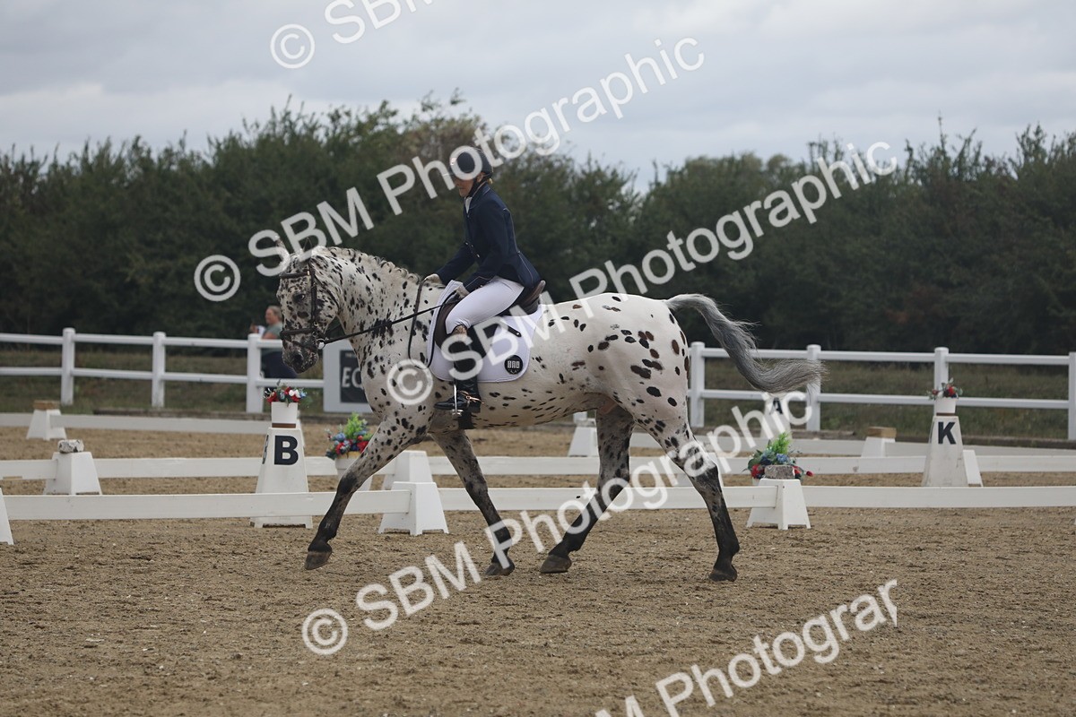 SBM_004018 - Class 5 - Prelim 3 - 15.08-15.50