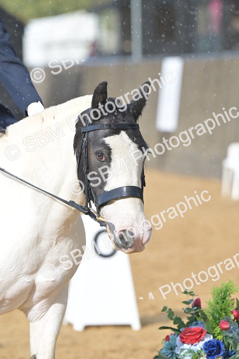 SBM_11194