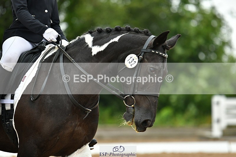 230708A-115919-02674 - Prelim 13