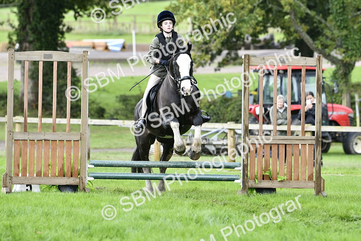 SBM_41494 - S32 - Mountain & Moorland Working Hunter Pony