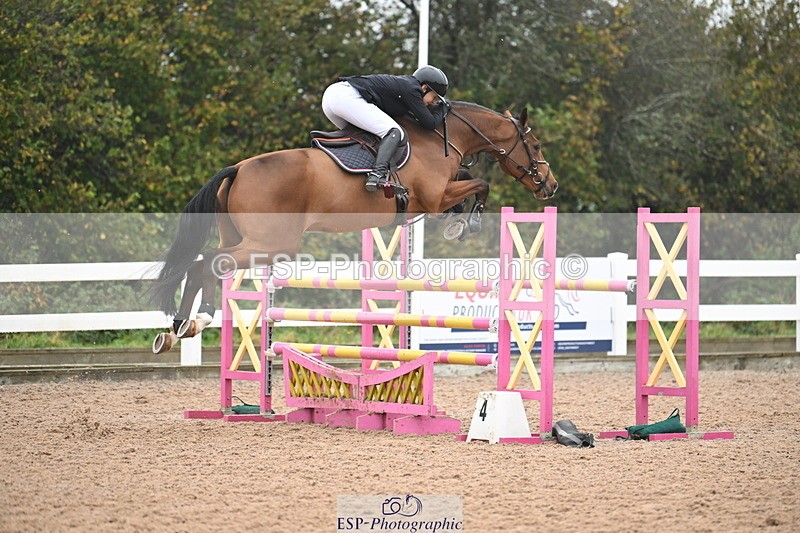 241102A-102058-03767 - SAT Cls 14 Blue Chip Joint Care Power Champ Quali