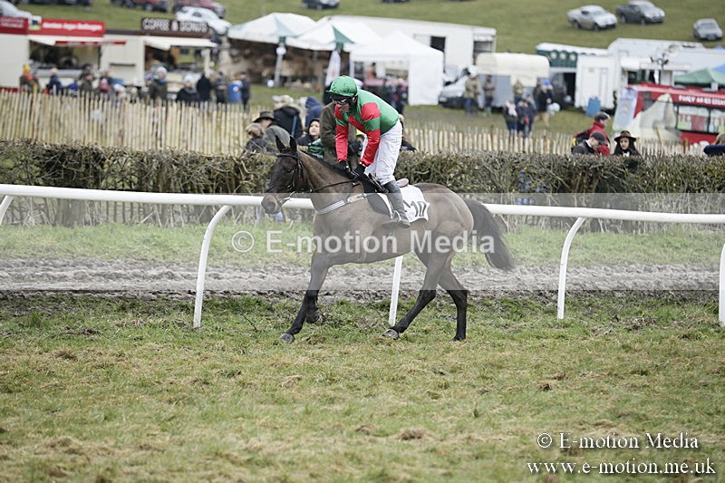 PtP 020418 -511 - Old Berks Point-to-Point Races Easter Monday 02/04/18