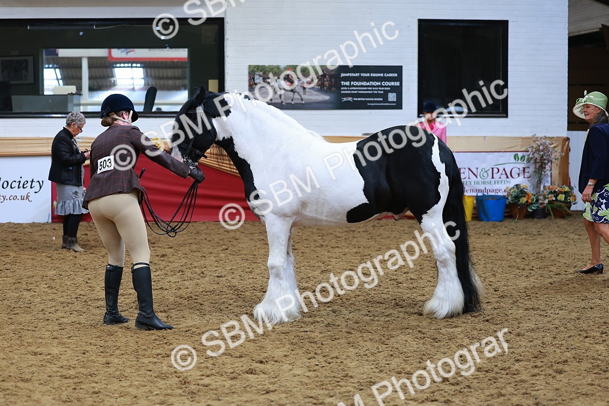 SBM_09791 - Class 102 - HOYS Veteran Qualifier - Ridden Veteran