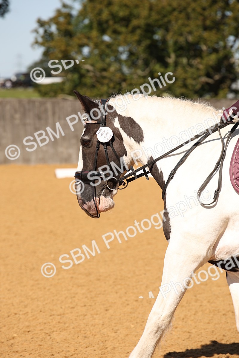SBM_21663 - D5 - Small Tour Championship - Intro C