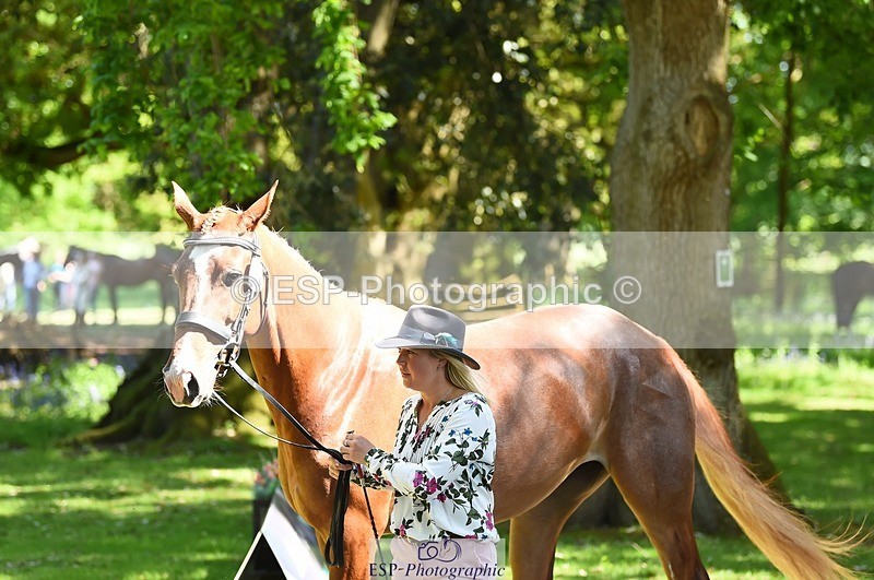 230524-150828-00088 - 308-NEFFECT_S-Kat_Raybould-WEDTrotUp+DR
