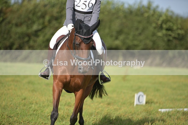 RAY_7552 - Class 2B: Trekenning Open: Dressage