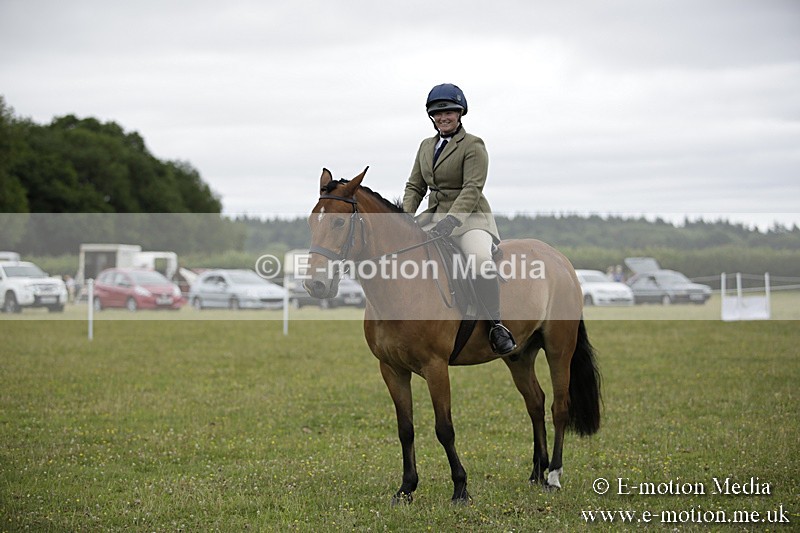 BVR160717-1030 - Ring 1 BVRC Show 16/07/17