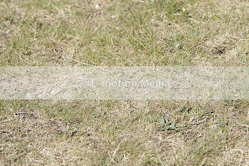 BVHT 140517 I-878 - Class 1 SJ Intermediate 14/05/17