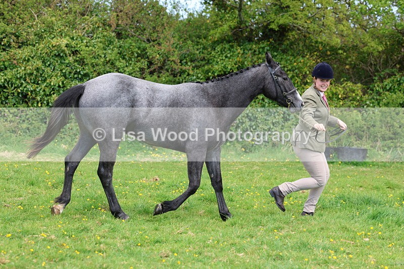3E7A0495 - Class 20: Sports Horse