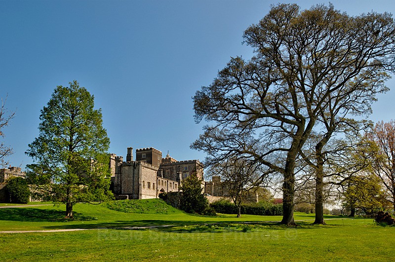 Powerderham Castle 2 - Devon Misc