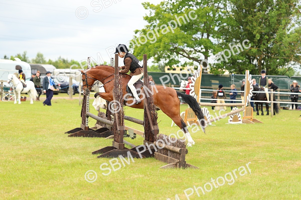 SBM_10217 - Class 44-45 - LIHS BSPS Open Nursery and Cradle Stakes