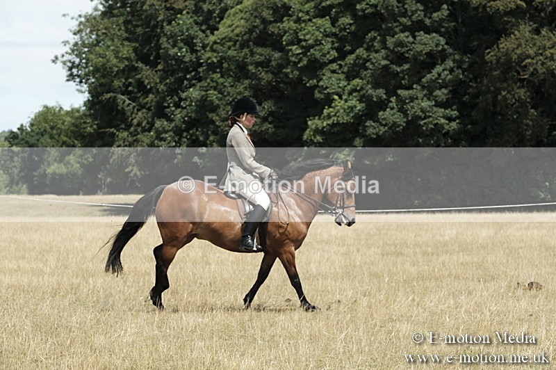 _PJP5970 - BVRC Show 2018 Ring 1