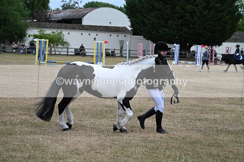 WJ7_8366 - Class 4 Prettiest Mare up to 14.2hh