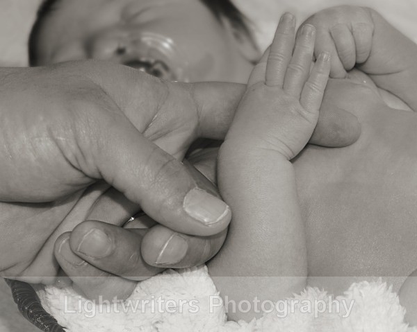 Buckle 55 - Baby Harper