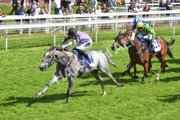 yr12062021r4-22 - Race 4 3.40pm The Pavers Foundation Catherine Memorial Sprint Stakes