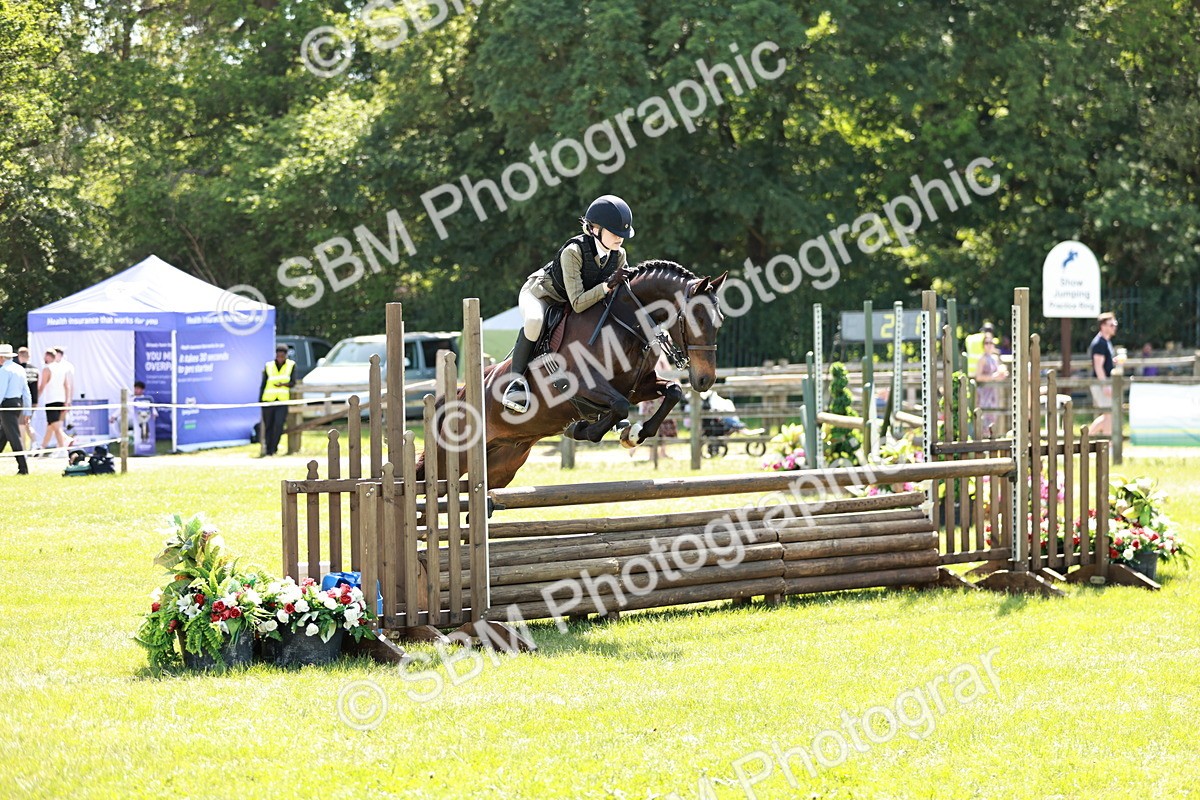 SBM_17578 - Class 112-113 - BSPS LIHS Working Sports Pony