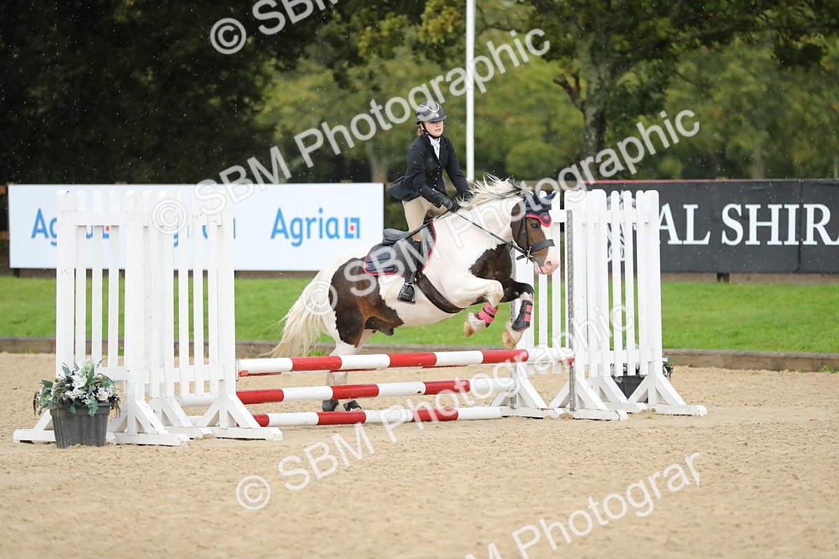 SBM_34363 - J60 Clear Round 50cm