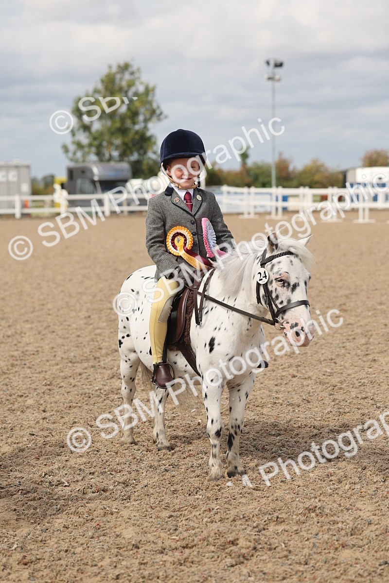 SBM_15931 - Class 310 - First Ridden Pony