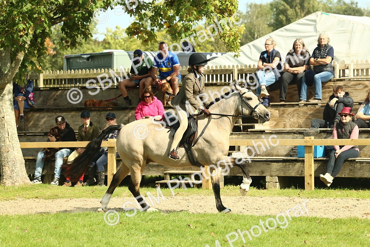 SBM_67638 - S56 - Coloured Pony Ridden