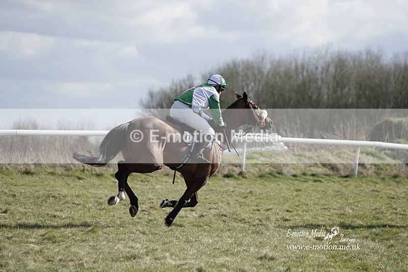 PtP 260223 333 - South & West Wilts Point-to-Point Larkhill 26/02/23