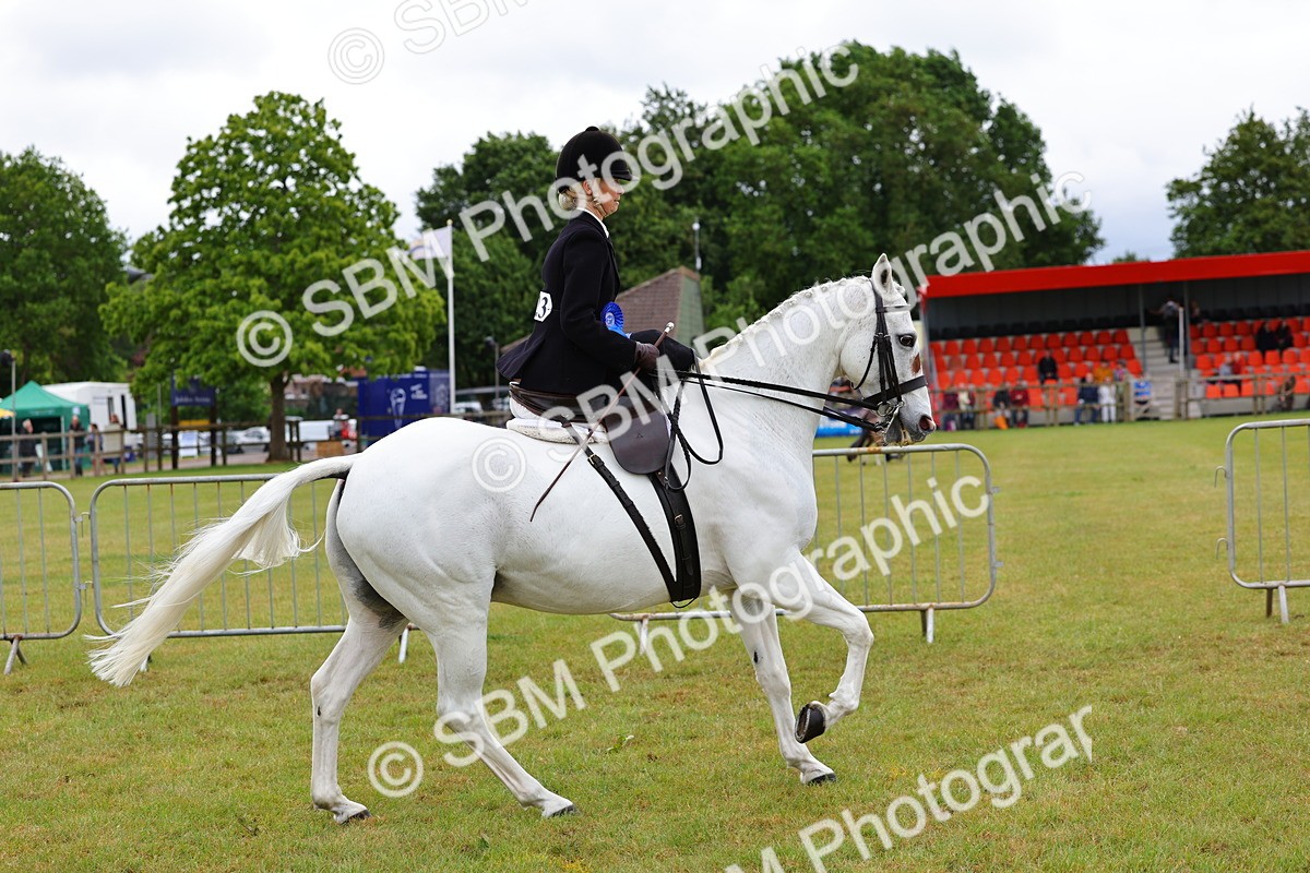 SBM_02790 - Class 9-11 Side Saddle including LIHS Rising Star Ladies Show Horse