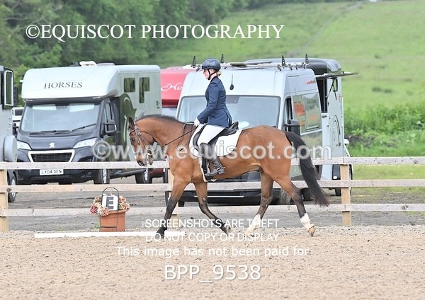 BPP_9538 - NO COMPETITOR NUMBER X 2