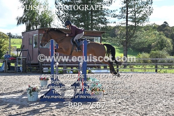 BPP_7587 - CLASS 8 Senior Newcomers/ 1.10m Open