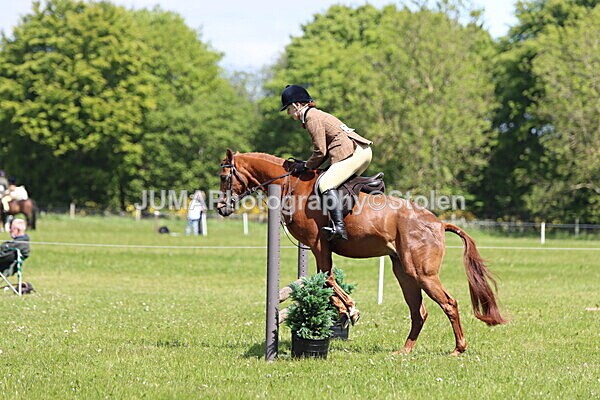 IMG_3778 - Working Hunter