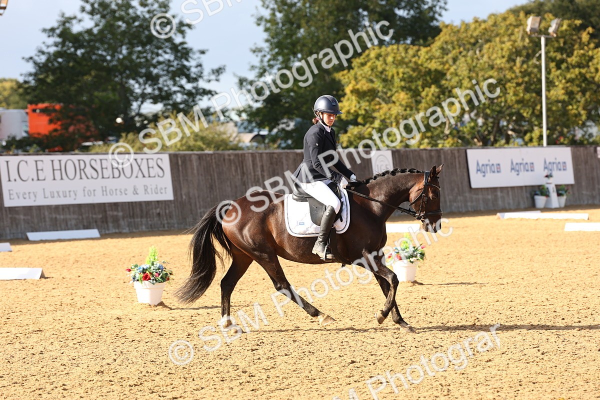 SBM_50500 - D12 - Small Tour Championship prelim 2