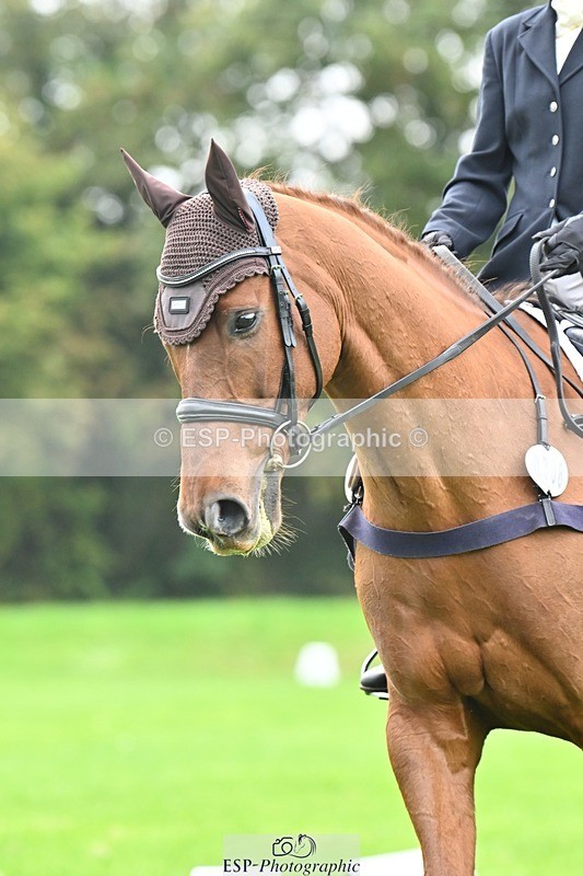 241024-100519-02091 - 308-Rachel.Lawson-RED.STAG