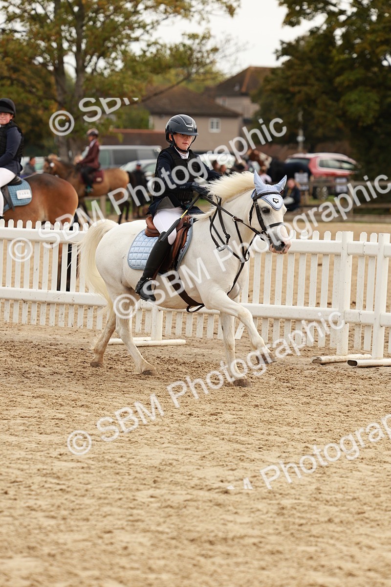 SBM_57775 - J11 - Junior Pony 50cm Championship