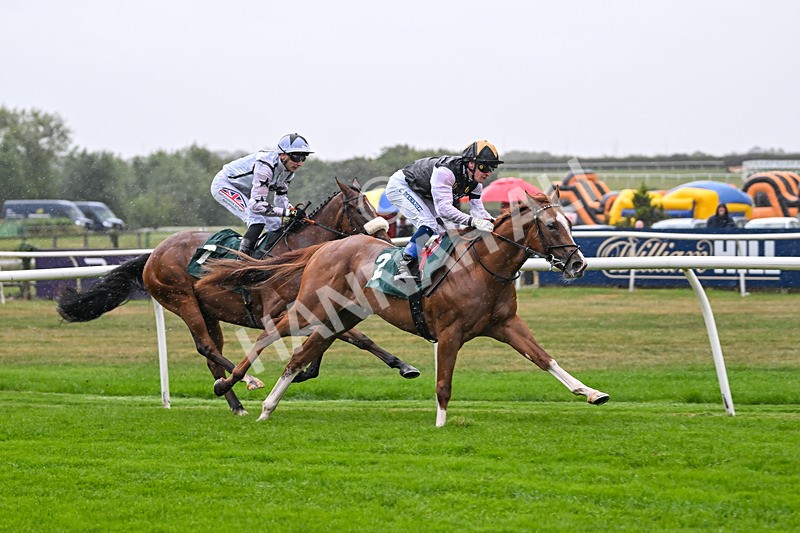 270825-Race 1-The Lost Sock-4484 - Race 1