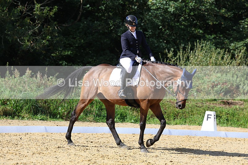 3E7A2566 - Class 1: Intro 4 2024 section A