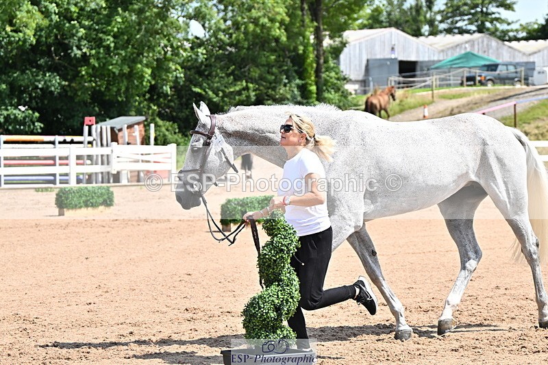 240718A-105240-01000 - Trot Up 11am to 12pm