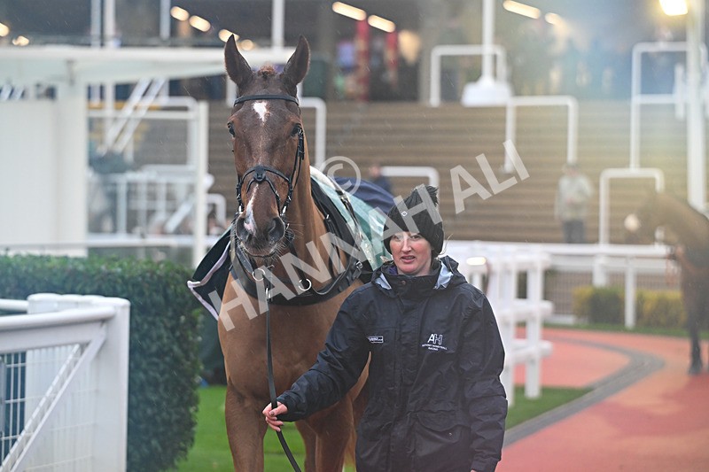 141125-Race 3-Leave Of Absence-9790 - Race 3