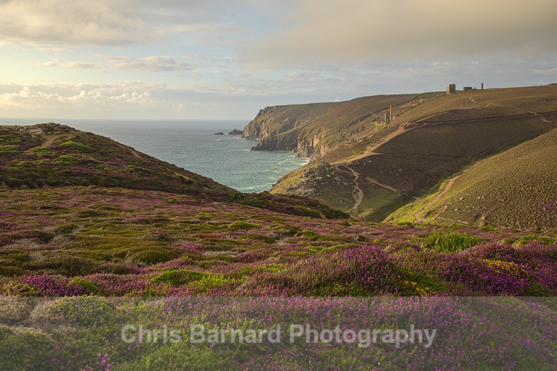  - Chapel Porth North Cornwall