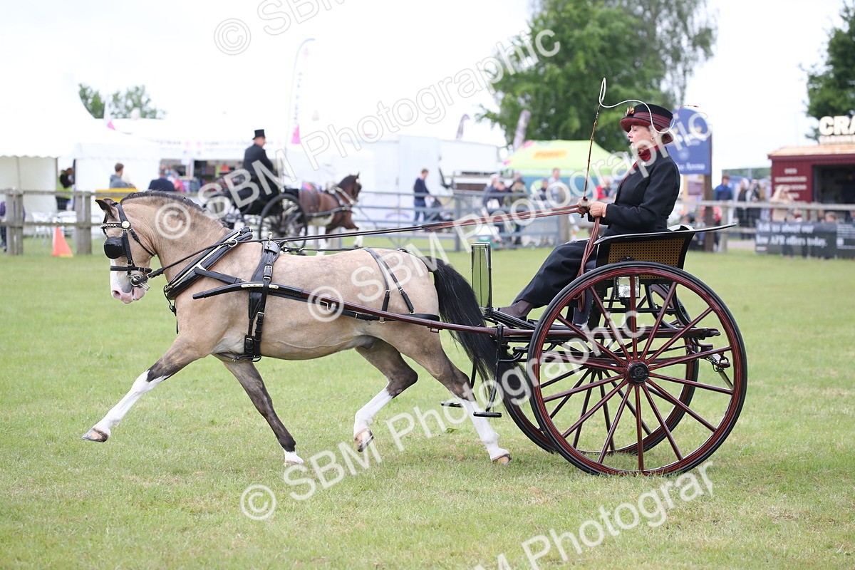 SBM_05837 - Class 12-15 - HOYS Private Driving