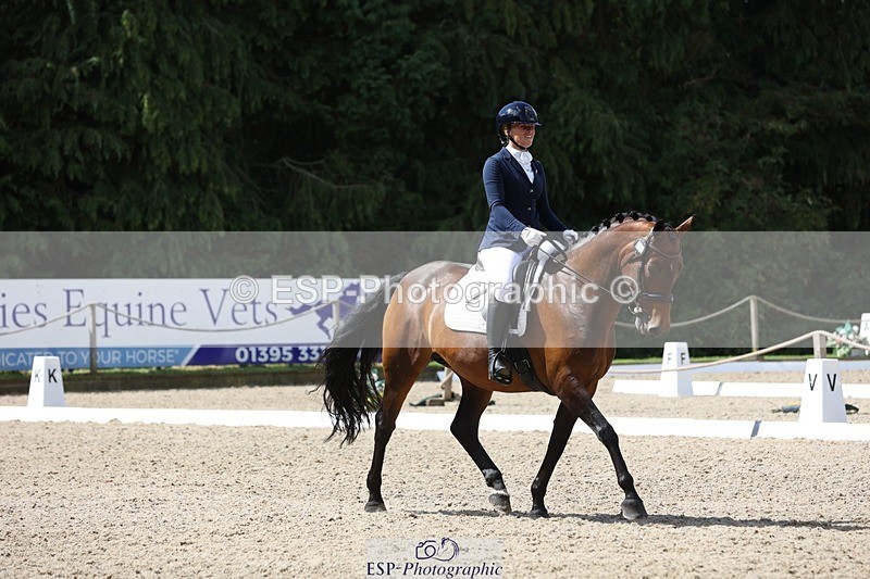 230812-113622-03804 - Cls 5 Novice Bronze 11.15 to 12.50 break