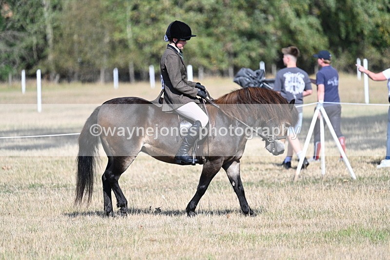 WJ7_3136 - Class 8 Ridden Tack & Turnout