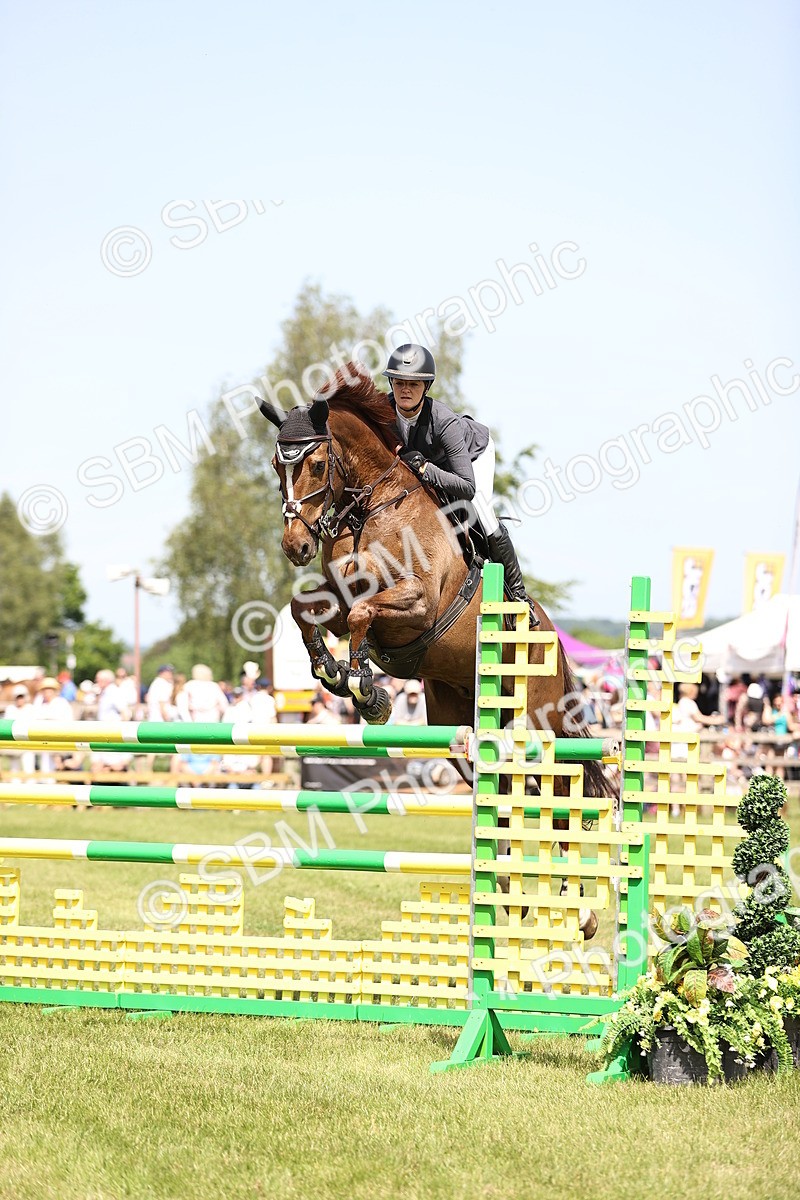 SBM_04006 - Class 201 - British Horse Feedds Speedi Beet HOYS Grade C
