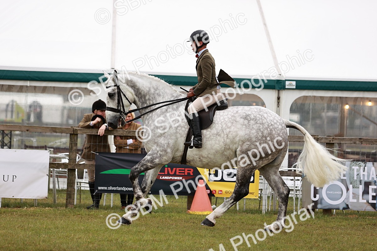 SBM_10927 - Class 81-84 - RIHS Ridden hunters Inc Ladies Hunter