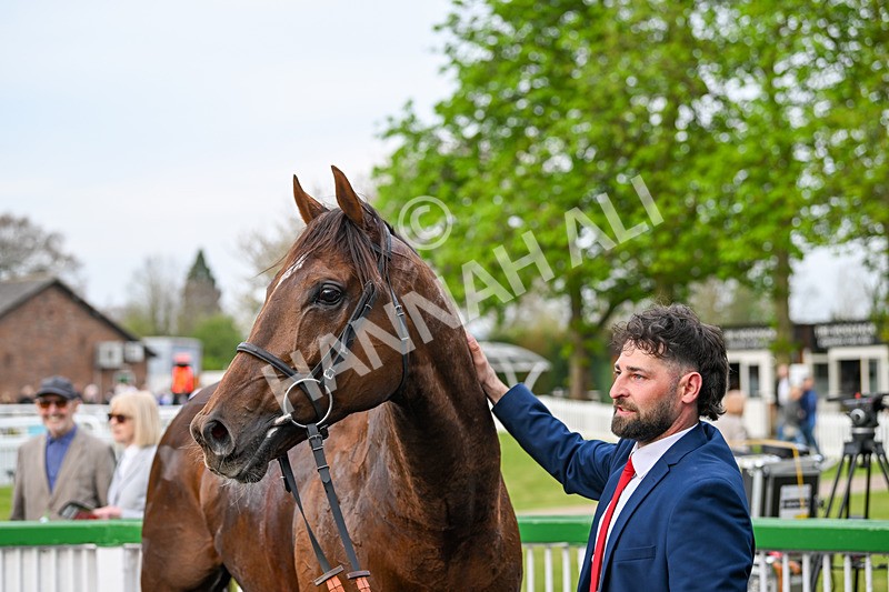 120425-Race 5-Majestic Warrior-1405 - Race 5