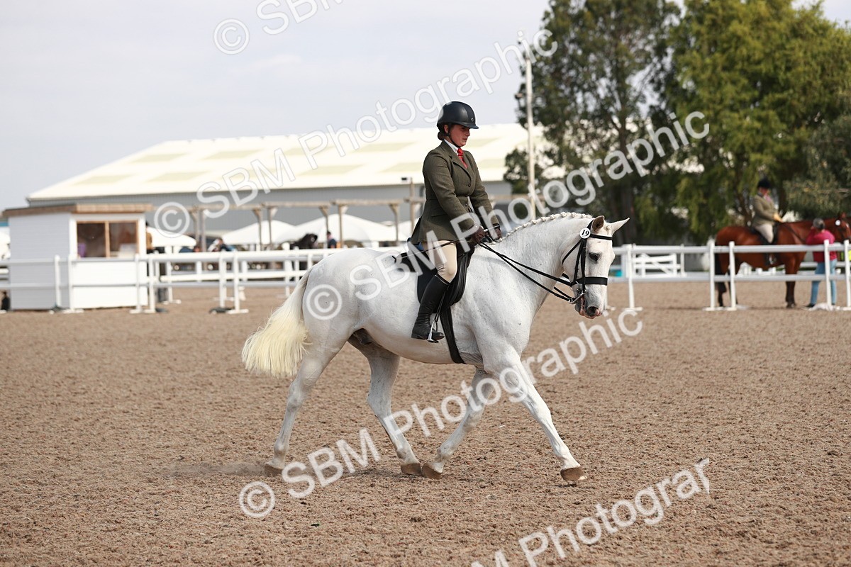 SBM_14889 - Class 212 Ridden Hunter - Small